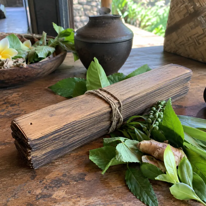 Illustrative photo for Taru Pramana: Bali's Ancient Text on Healing Plants