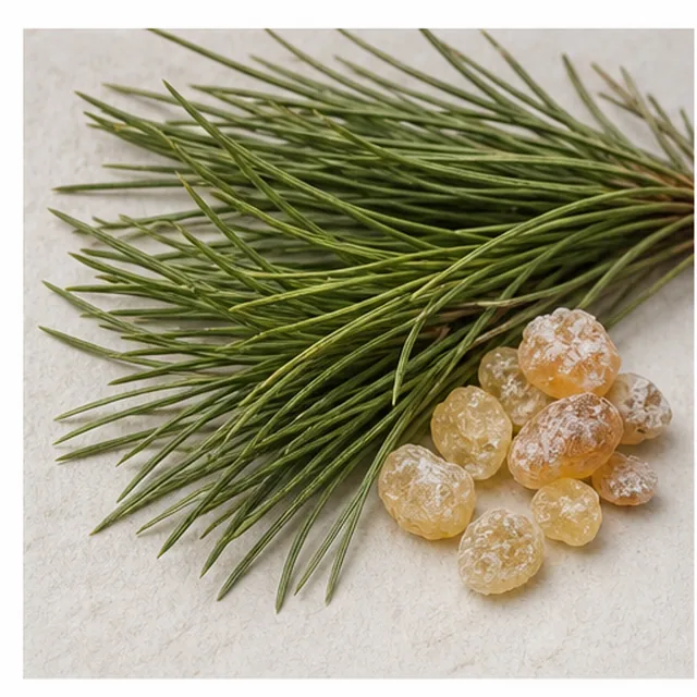 Raw Pine material