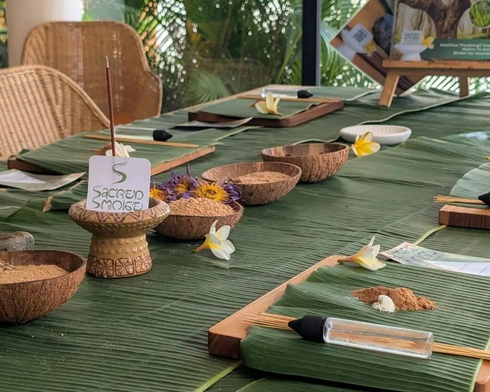 Raw botanical ingredients arranged for a private workshop